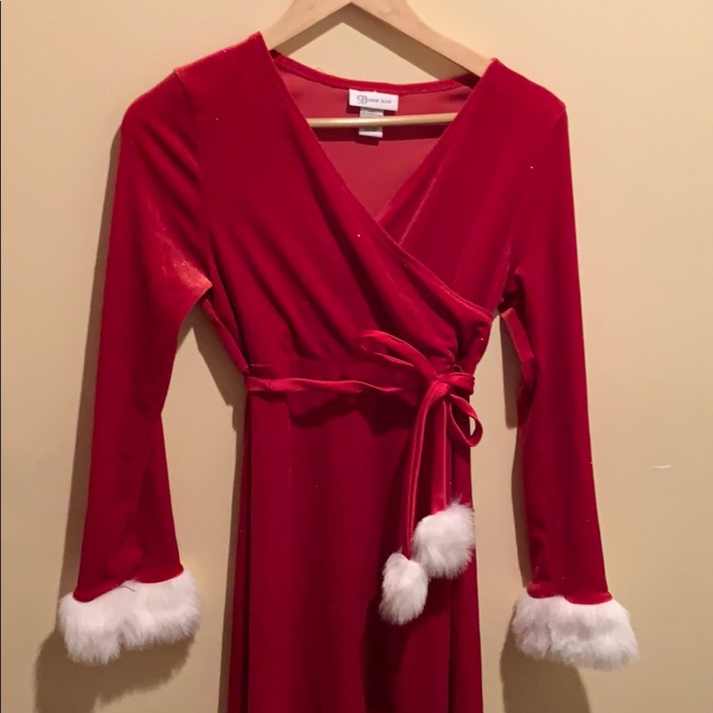 Mrs. Santa Dress